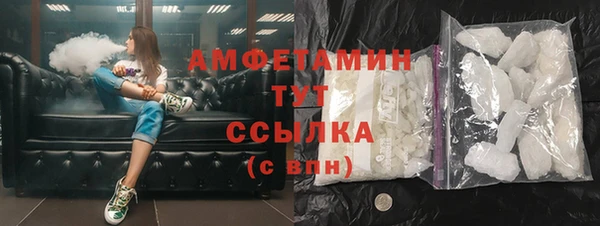 индика Заводоуковск