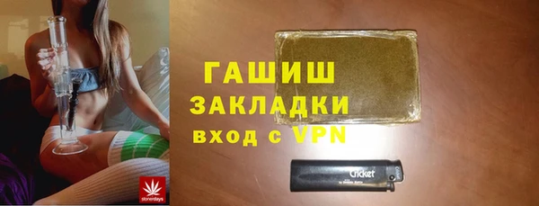 индика Заводоуковск