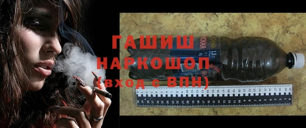 индика Заводоуковск