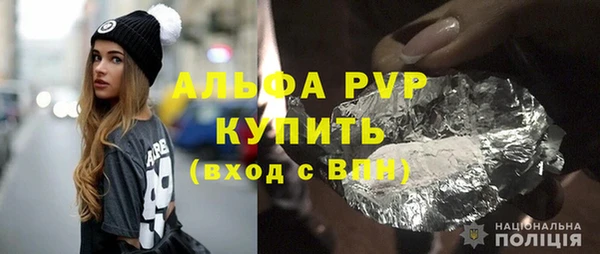 индика Заводоуковск