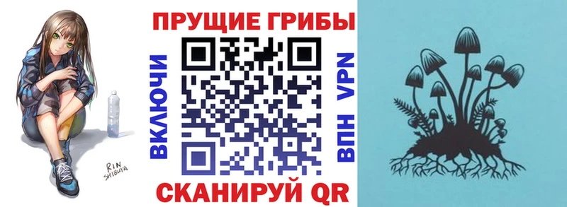 Купить где  Электросталь  Псилоцибиновые грибы прущие грибы 